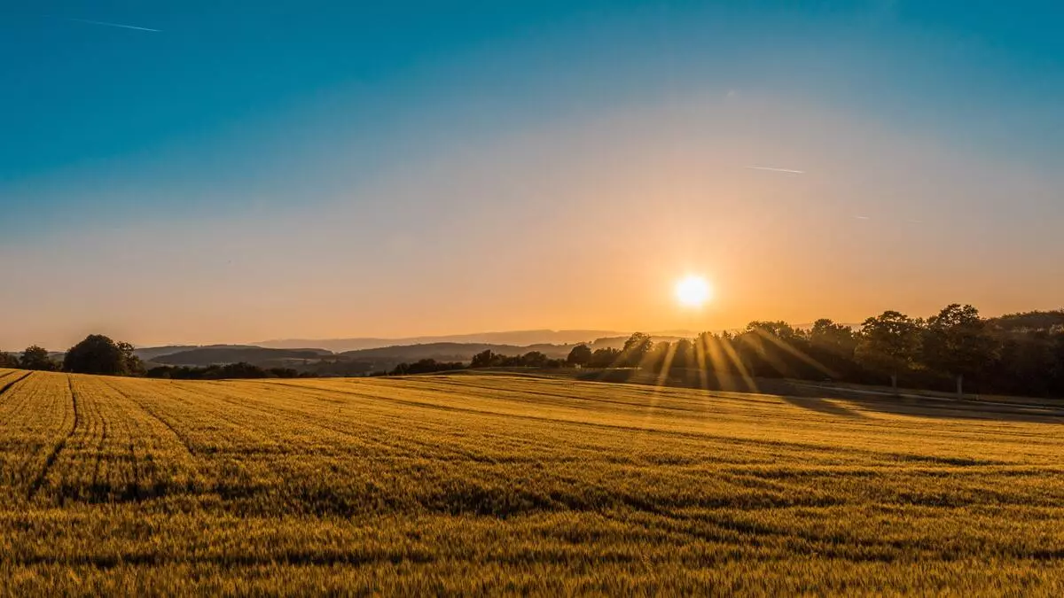 Pyranometers in Agriculture